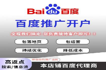 某行业SEM竞价策略的运营实践与效果